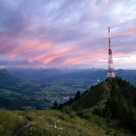 Goldiger Hirsch Mit Gemeinschaftskueche Bed & Breakfast Immenstadt im Allgäu