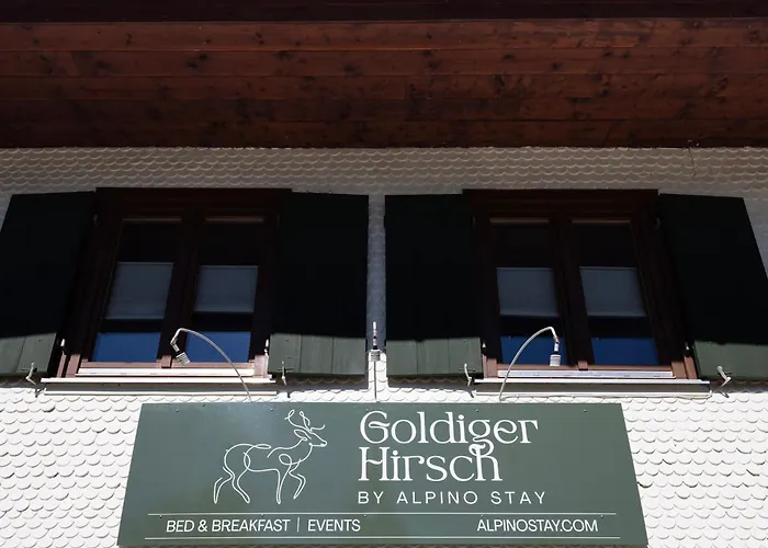Goldiger Hirsch Mit Gemeinschaftskueche
