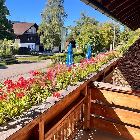 Goldiger Hirsch Mit Gemeinschaftskueche 3* Immenstadt im Allgäu