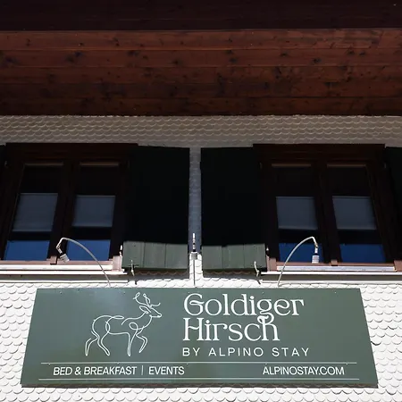Goldiger Hirsch Mit Gemeinschaftskueche