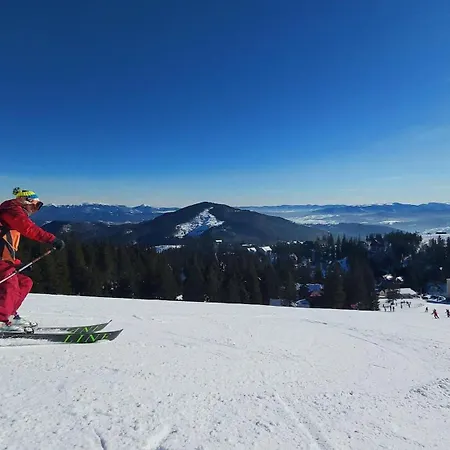Goldiger Hirsch Mit Gemeinschaftskueche Immenstadt im Allgäu