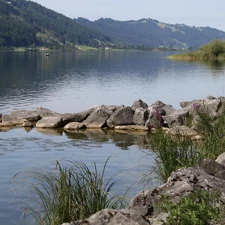 Goldiger Hirsch Mit Gemeinschaftskueche