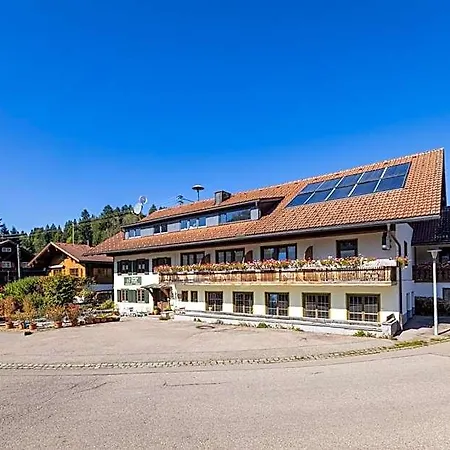 Goldiger Hirsch Mit Gemeinschaftskueche
