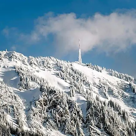 Goldiger Hirsch Mit Gemeinschaftskueche לינה וארוחת בוקר Immenstadt im Allgäu