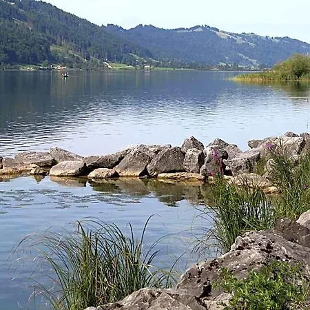 Goldiger Hirsch Mit Gemeinschaftskueche Oda ve Kahvaltı