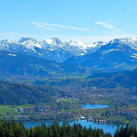 Goldiger Hirsch Mit Gemeinschaftskueche Immenstadt im Allgäu