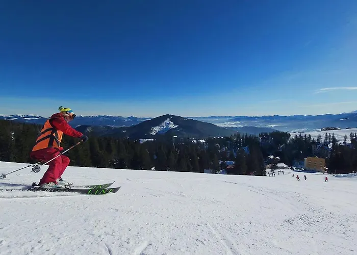Goldiger Hirsch Mit Gemeinschaftskueche Immenstadt im Allgäu