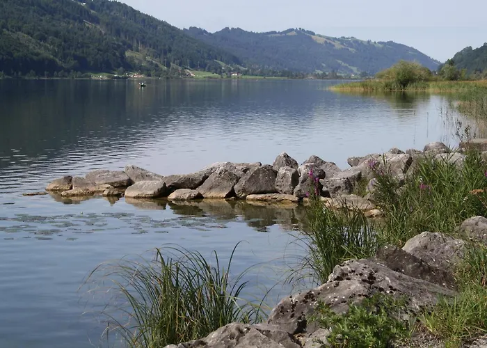 Goldiger Hirsch Mit Gemeinschaftskueche